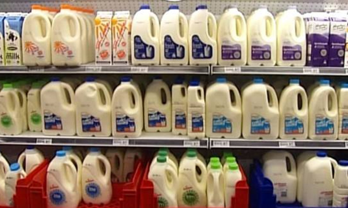 乳品包裝日期噴碼缺陷視覺(jué)檢測(cè)系統(tǒng)